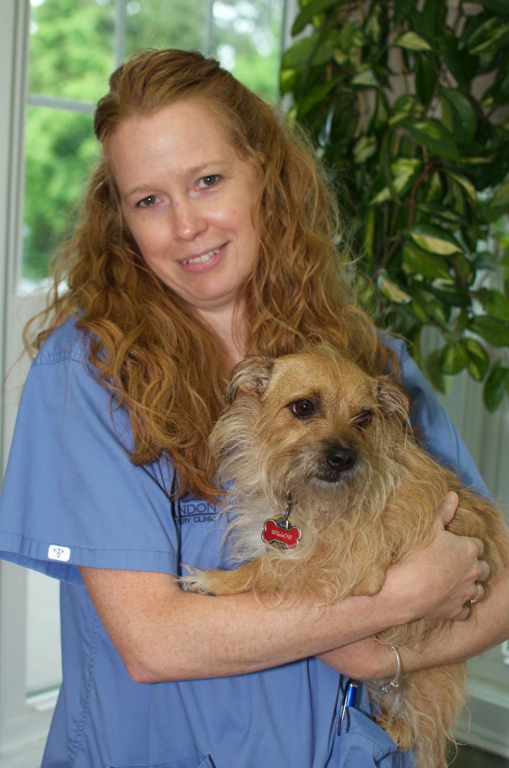 Our Team Lyndon Veterinary Clinic Fayetteville, NY